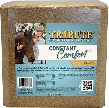 HORSE CARE:SALTS AND MINERALS:TRIBUTE CONSTANT COMFORT BLOCK