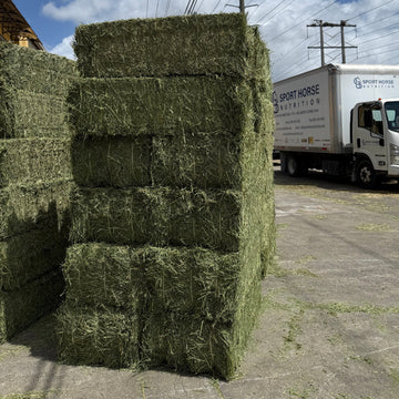 3 String Alfalfa 2nd cut