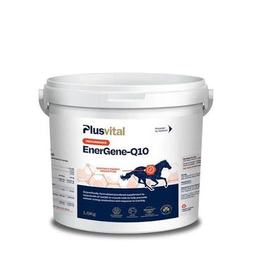 Plusvital EnerGene-Q10