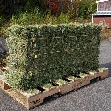 ALFALFA 3 string from West