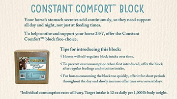 HORSE CARE:SALTS AND MINERALS:TRIBUTE CONSTANT COMFORT BLOCK