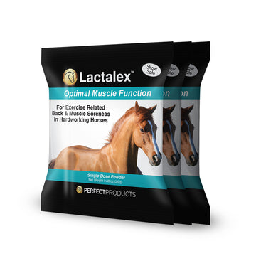 Lactalex™ Daily Muscle Function & Recovery Powder