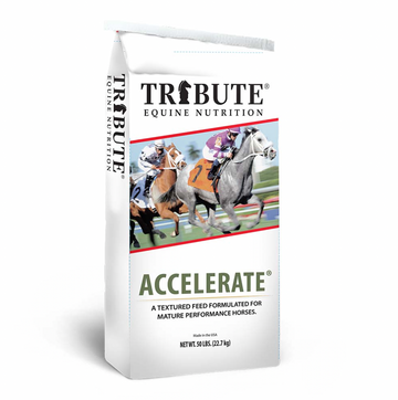 HORSE FEED:TRIBUTE FEED:RIGHT CHOICE ACCELERATE