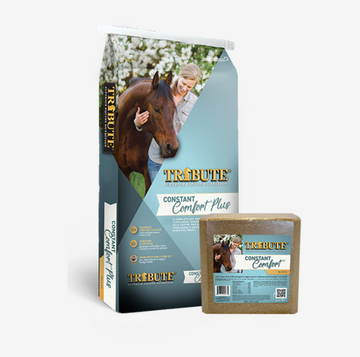 HORSE FEED:TRIBUTE FEED:TRIBUTE CONSTANT COMFORT PLUS PELLET