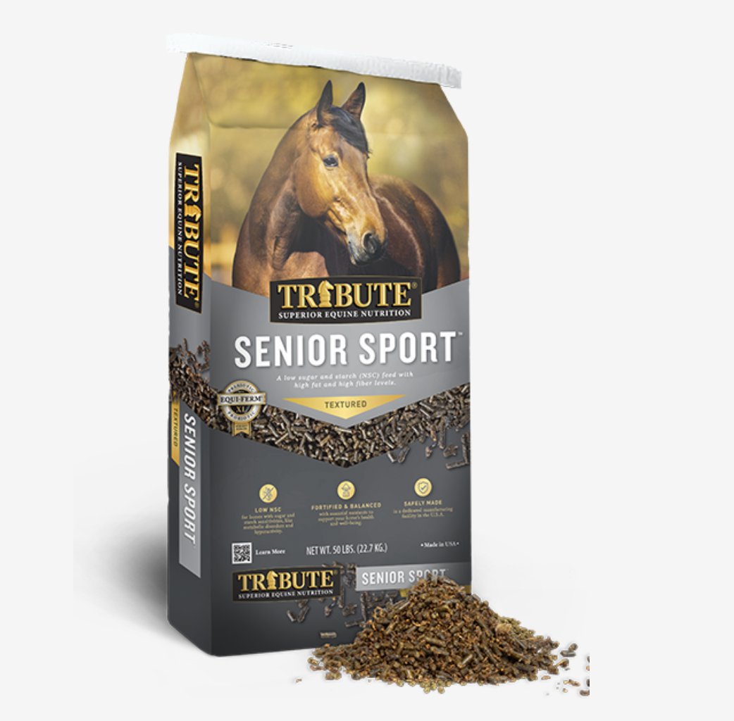 Tribute Equine Nutrition senior sport