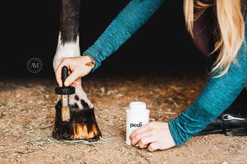 HORSE CARE:HOOF CARE:PEDI HOOF CONDITIONER BY THE INFUSED EQUINE