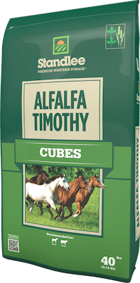 HORSE FEED:TIMOTHY ALFALFA CUBES